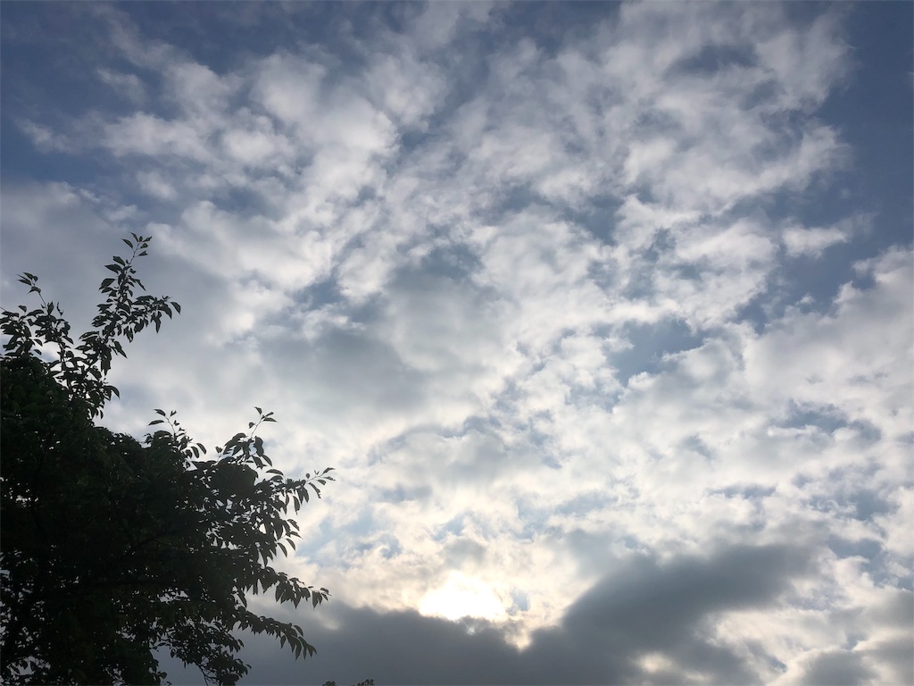 f:id:Recuerdo:20190712175711j:image