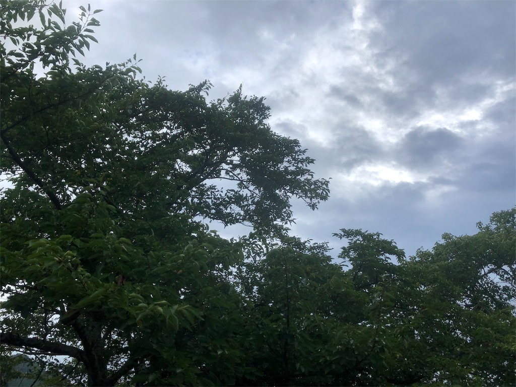 f:id:Recuerdo:20190815232853j:image