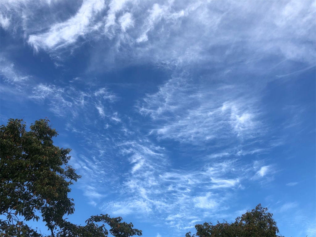 f:id:Recuerdo:20190928184032j:image