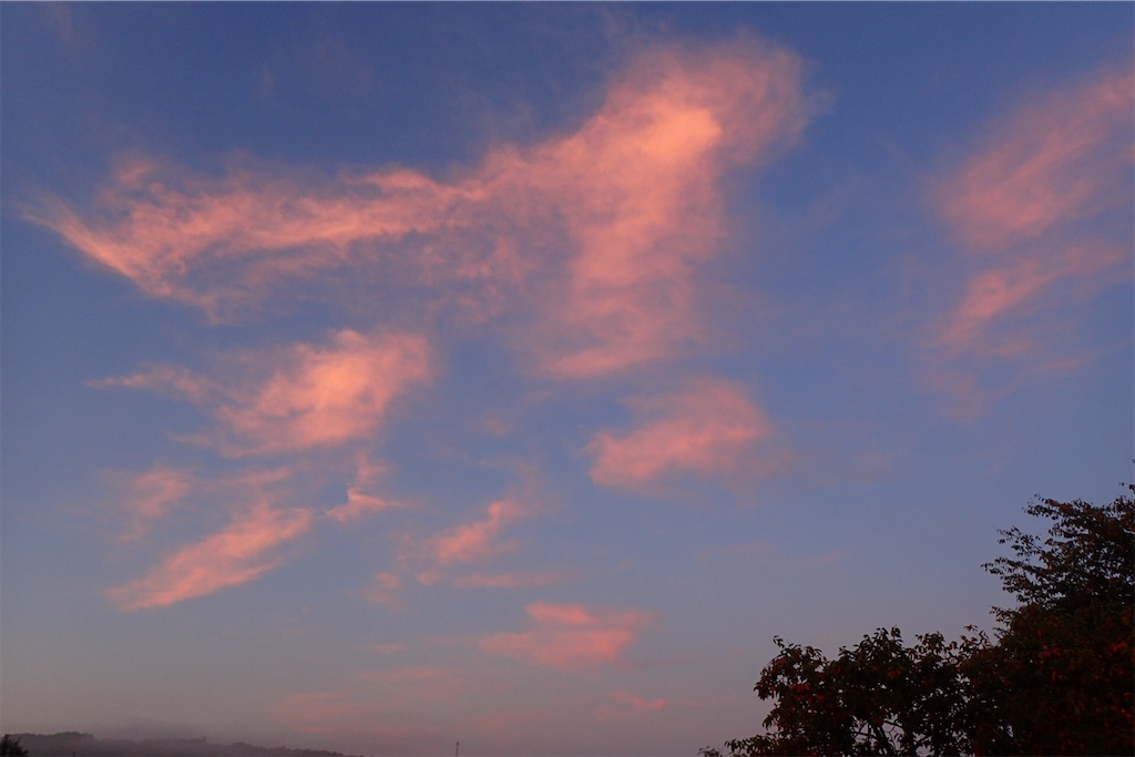f:id:Recuerdo:20191007182321j:image f:id:Recuerdo:20191007182321j:image