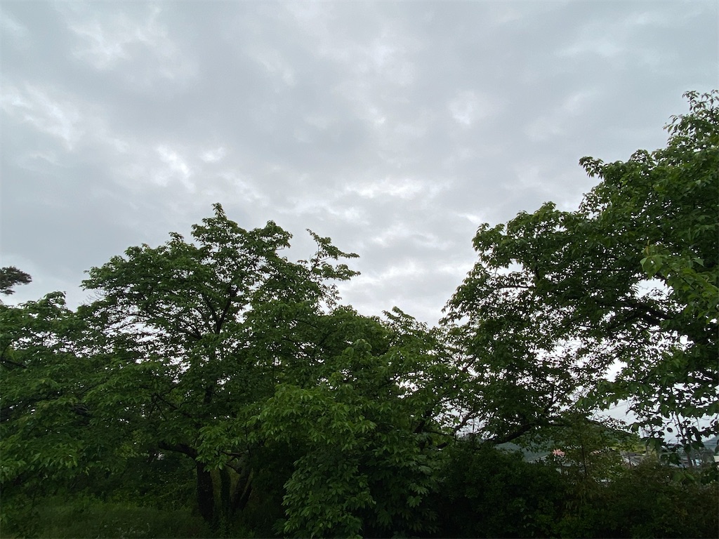 f:id:Recuerdo:20210521191401j:image f:id:Recuerdo:20210521191401j:image
