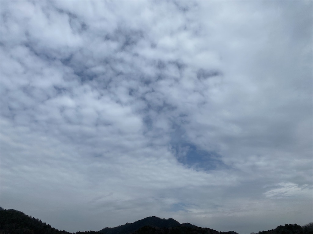 f:id:Recuerdo:20250313160330j:image f:id:Recuerdo:20250313160330j:image
