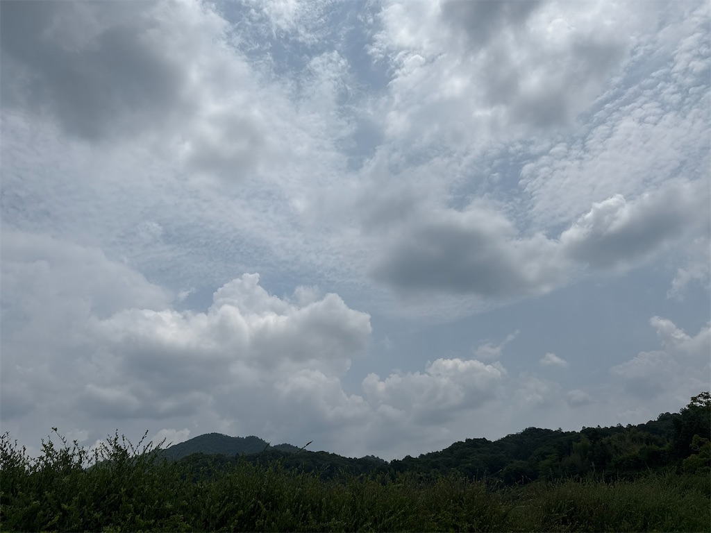 f:id:Recuerdo:20250708133611j:image f:id:Recuerdo:20250708133611j:image