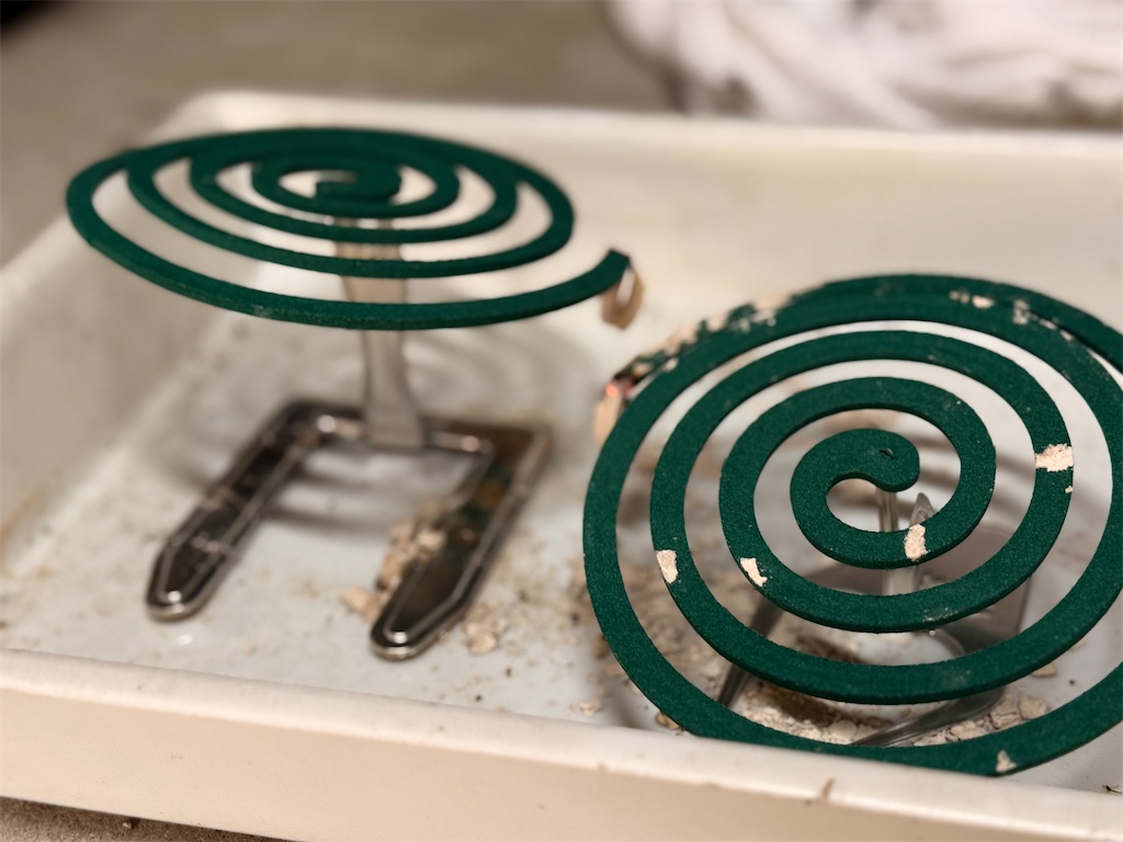 f:id:Recuerdo:20250708155015j:image f:id:Recuerdo:20250708155015j:image