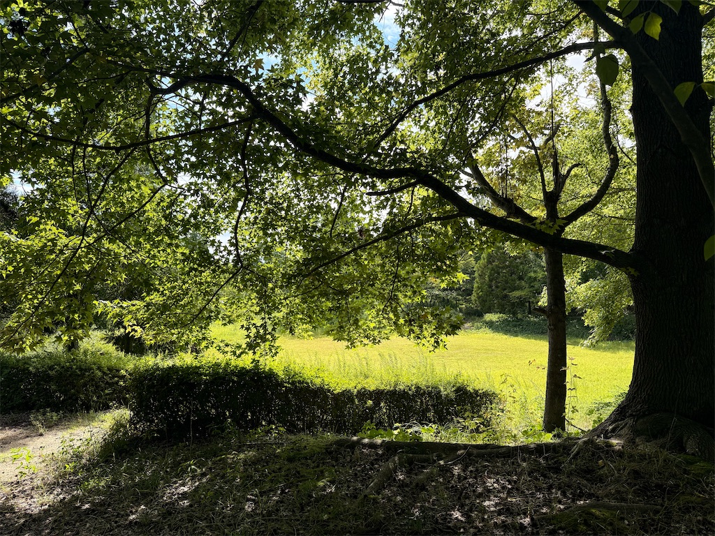 f:id:Recuerdo:20250809171239j:image