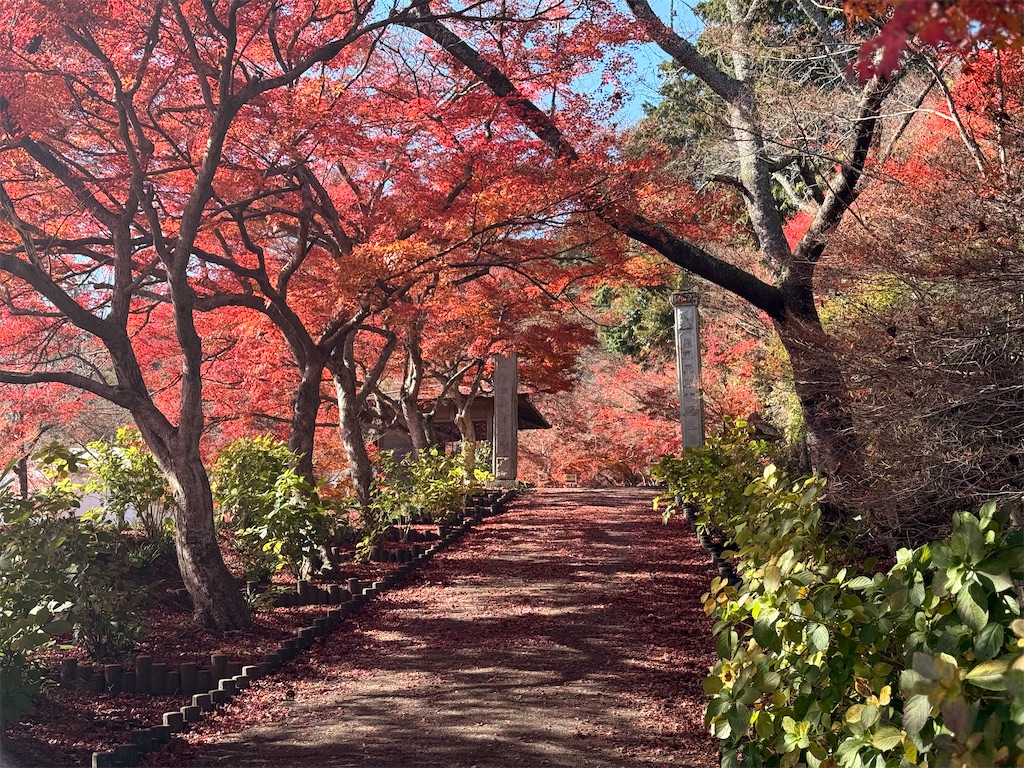 f:id:Recuerdo:20251130200010j:image