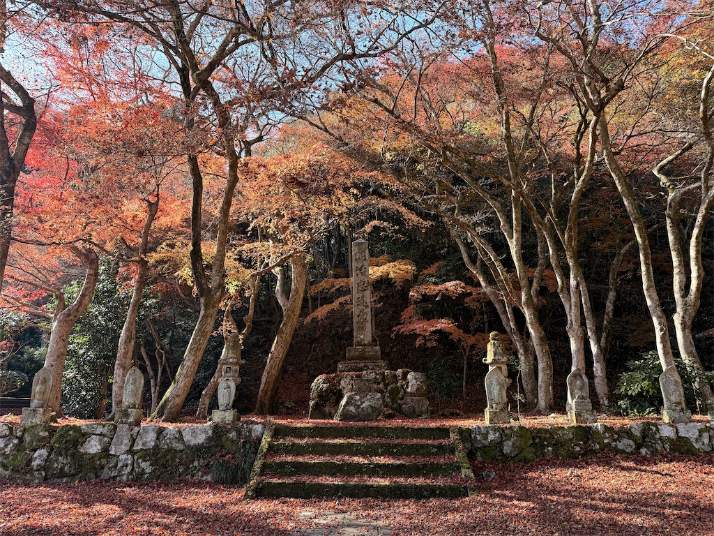 f:id:Recuerdo:20251130200019j:image