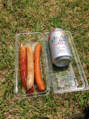 f:id:Red-Comet:20140803123214j:plain