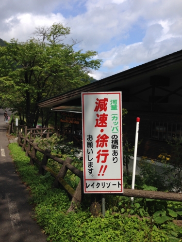 f:id:Red-Comet:20140824105628j:plain f:id:Red-Comet:20140824105628j:plain