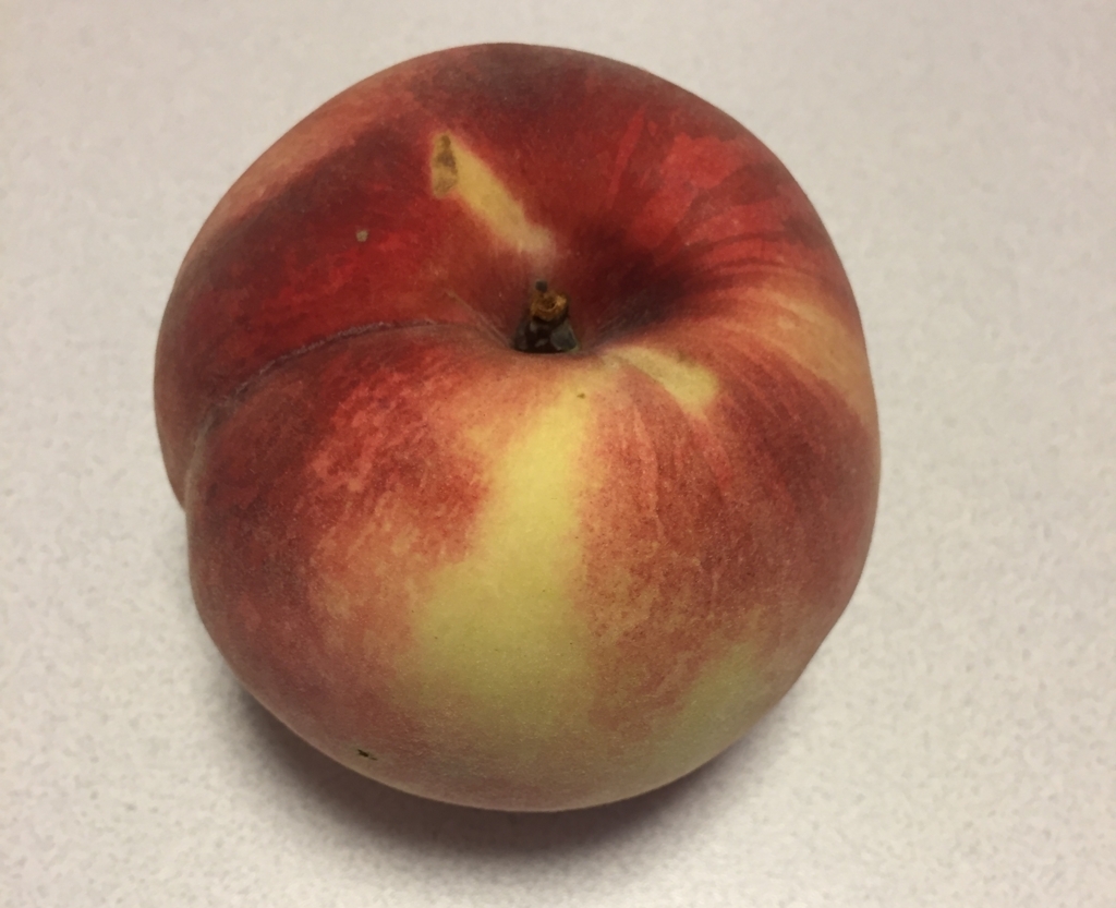 f:id:Red-Comet:20170905211435j:plain f:id:Red-Comet:20170905211435j:plain