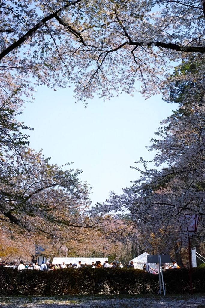 f:id:Red-Comet:20180429221326j:plain