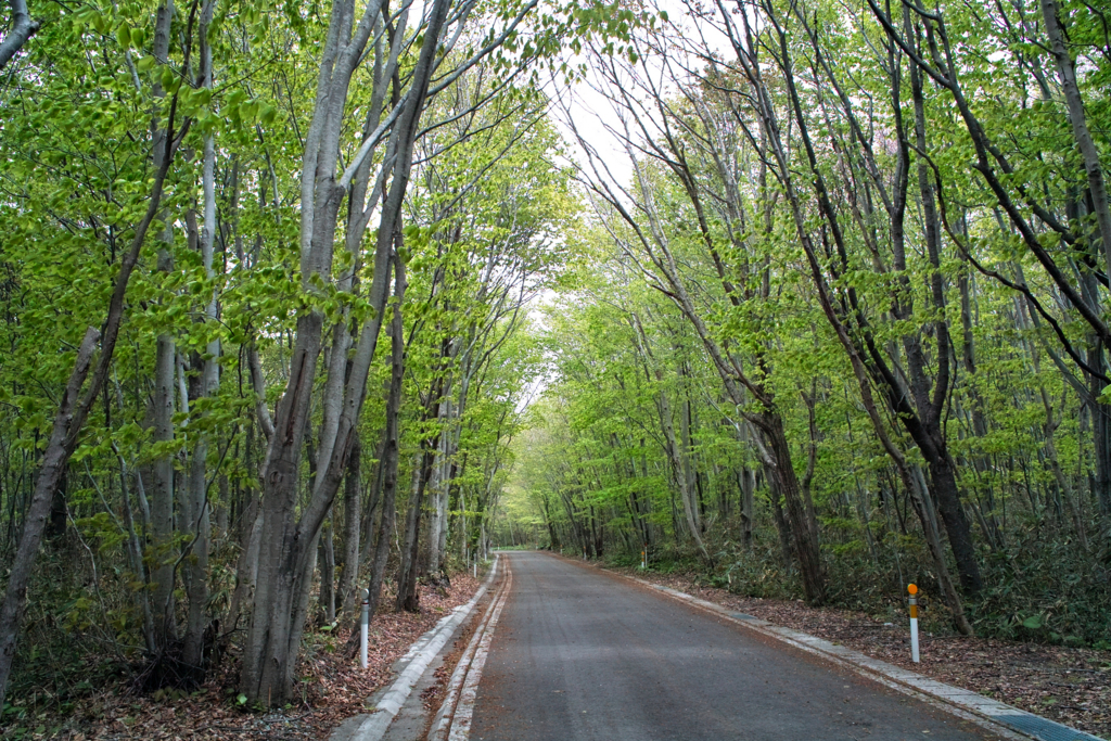 f:id:Red-Comet:20180509233350j:plain f:id:Red-Comet:20180509233350j:plain