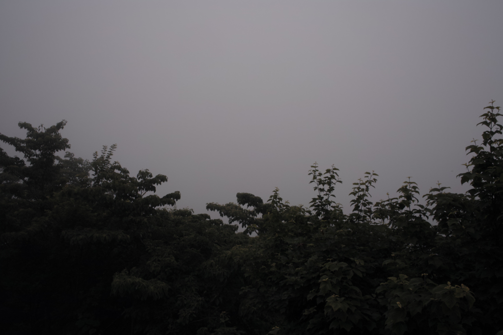 f:id:Red-Comet:20180627222703p:plain f:id:Red-Comet:20180627222703p:plain