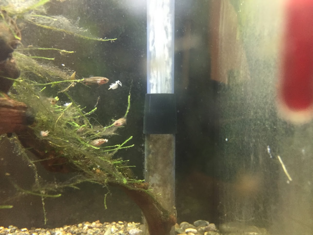 f:id:Red-Comet:20180719225527p:plain