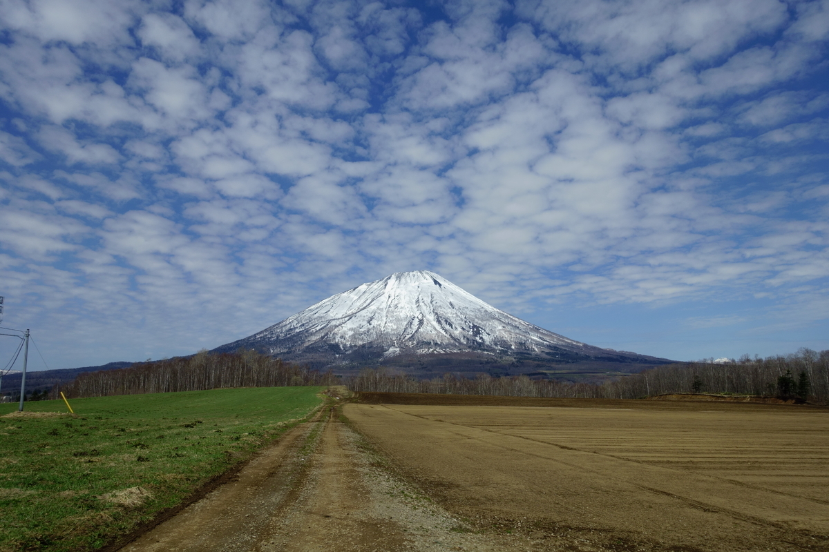 f:id:Red-Comet:20190503000749j:plain f:id:Red-Comet:20190503000749j:plain