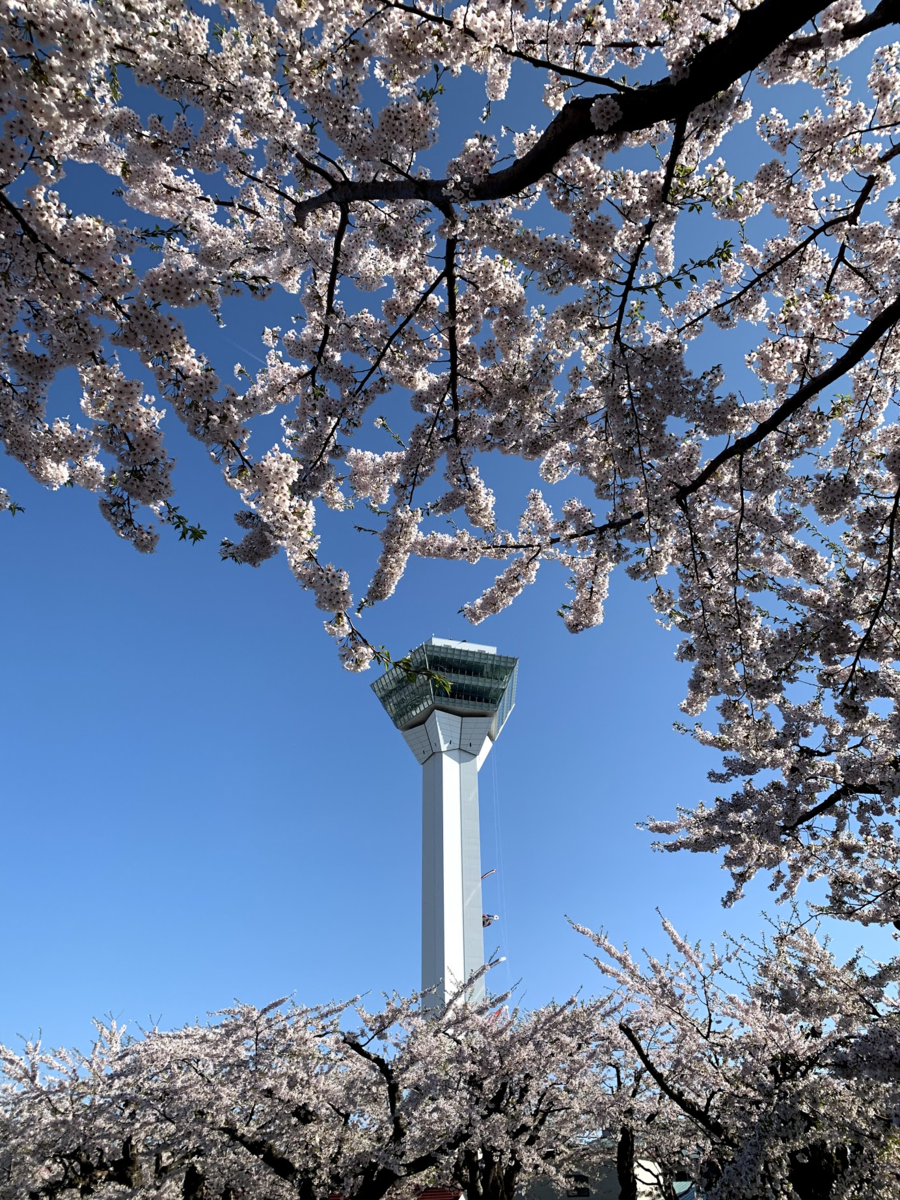 f:id:Red-Comet:20190506164318p:plain