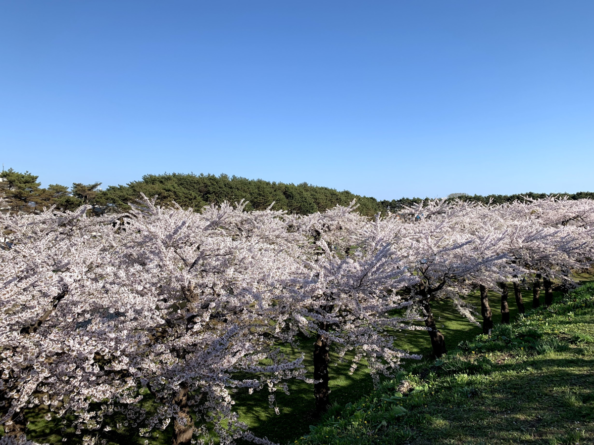 f:id:Red-Comet:20190506164336p:plain