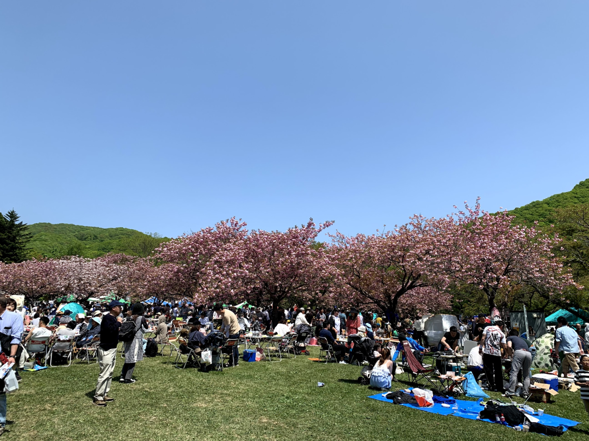 f:id:Red-Comet:20190519225040p:plain