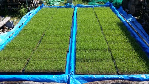 f:id:RedT:20190321002510j:plain