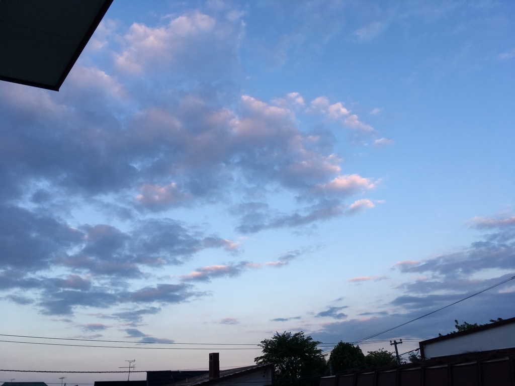 f:id:Redlunarserpent:20180527212537j:plain f:id:Redlunarserpent:20180527212537j:plain