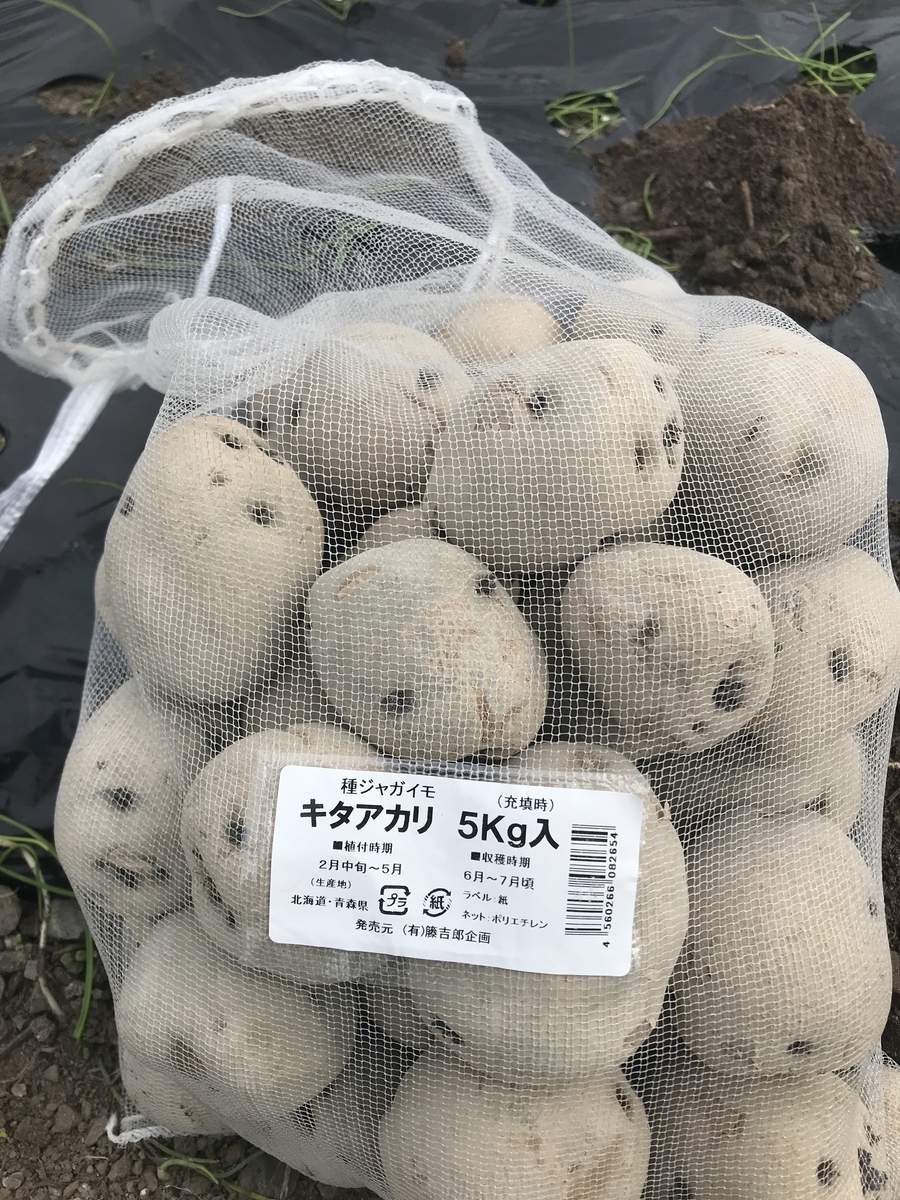 キタアカリとは 食の人気 最新記事を集めました はてな キタアカリとは 食の人気 最新記事を集めました はてな