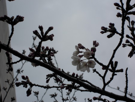 f:id:Rei-Rei:20100331152147j:image f:id:Rei-Rei:20100331152147j:image