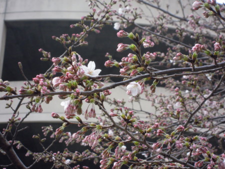 f:id:Rei-Rei:20100402160330j:image f:id:Rei-Rei:20100402160330j:image
