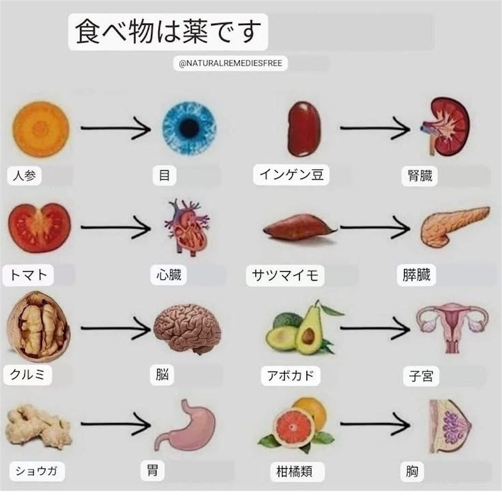 f:id:Rei-wa:20250816093721j:image f:id:Rei-wa:20250816093721j:image