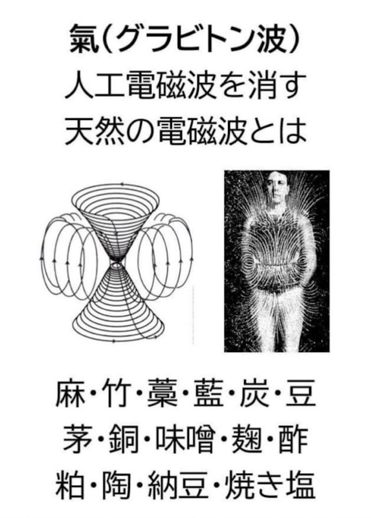 f:id:Rei-wa:20250816102532j:image f:id:Rei-wa:20250816102532j:image