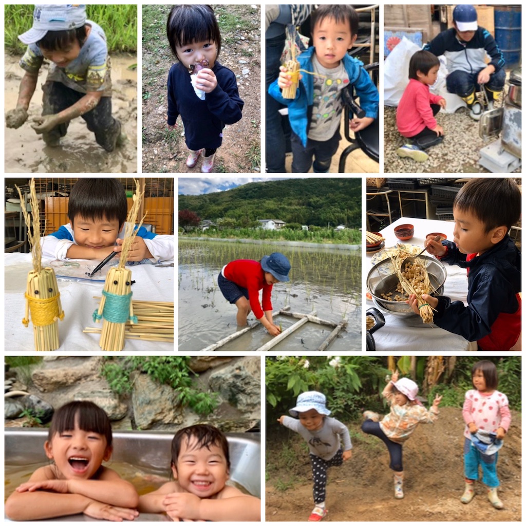 f:id:Rei-wa:20260416153619j:image f:id:Rei-wa:20260416153619j:image