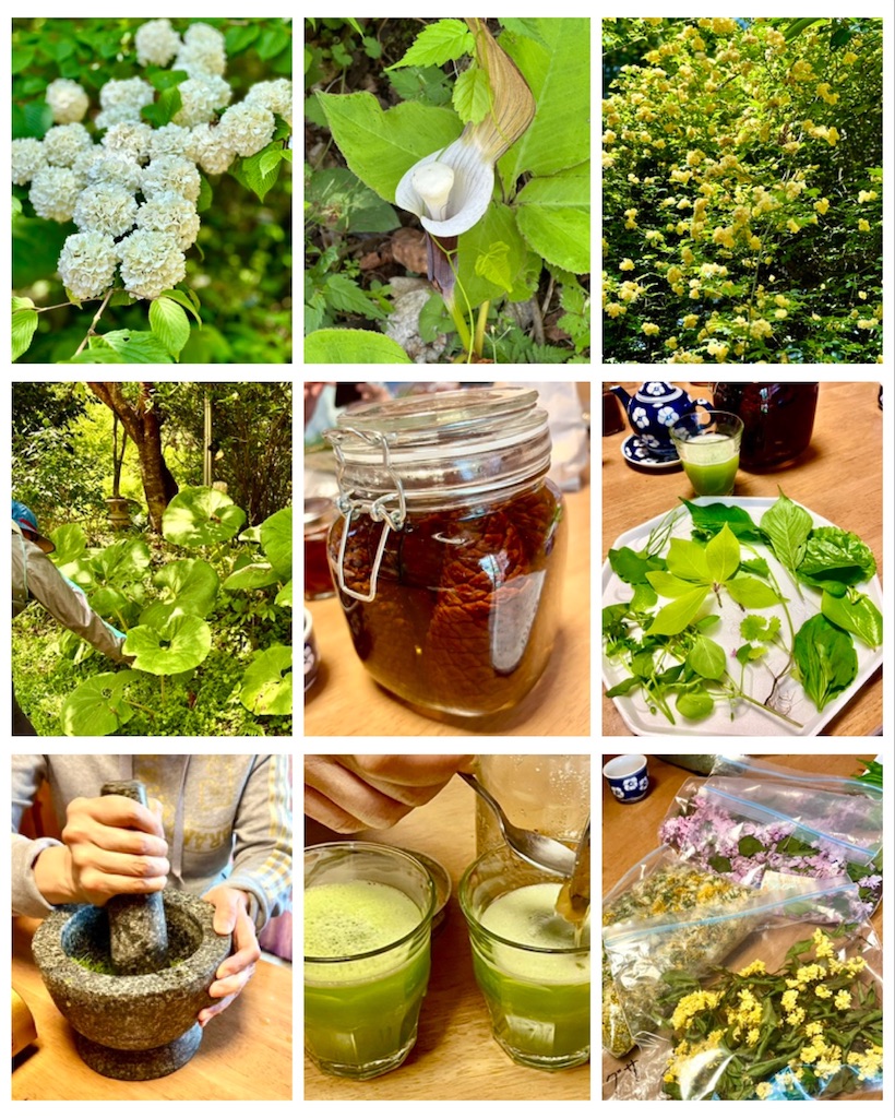 f:id:Rei-wa:20260416155339j:image f:id:Rei-wa:20260416155339j:image