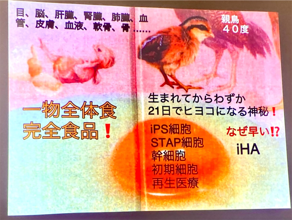 f:id:Rei-wa:20260906091522j:image f:id:Rei-wa:20260906091522j:image