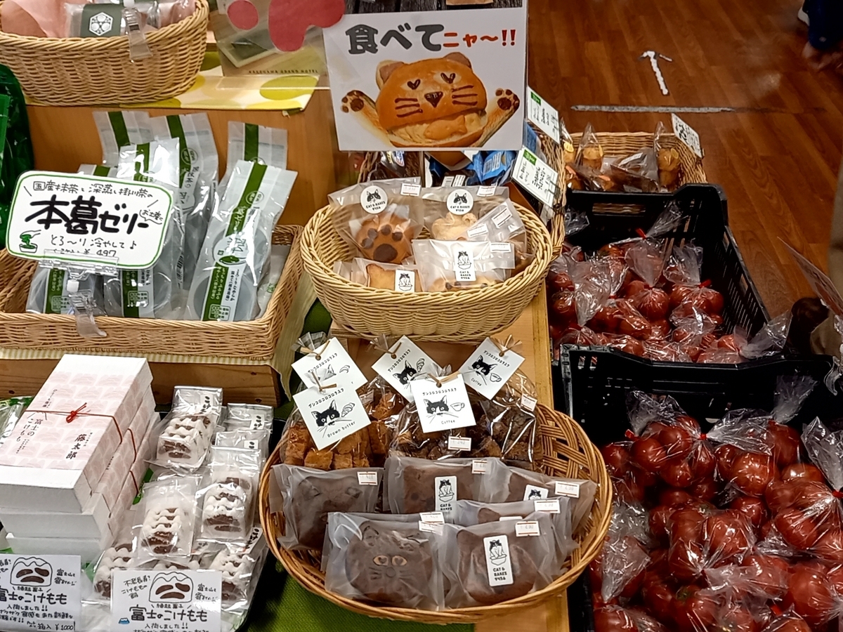 CAT & BAKES 9456 チョコフィニャンシェ - Rei's notes