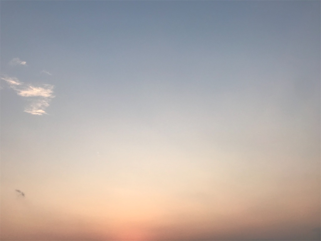 f:id:Reichan25:20190301015219j:image