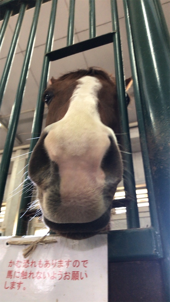 f:id:Reichan25:20190310113525j:image f:id:Reichan25:20190310113525j:image