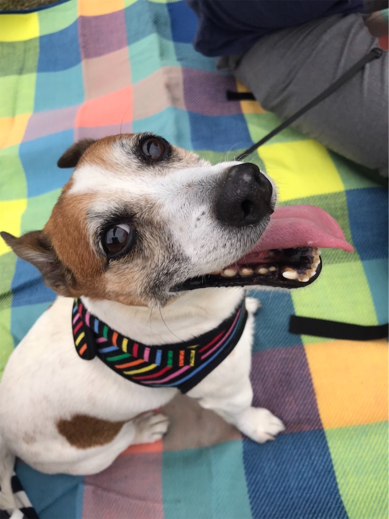 f:id:Reichan25:20200501083635j:image