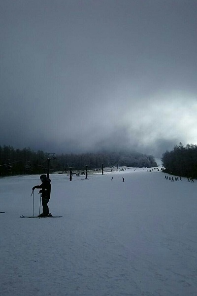 f:id:Reiherbahnhof:20180124003053j:plain