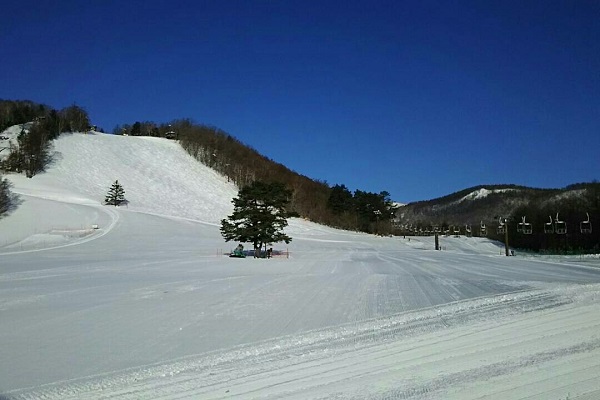 f:id:Reiherbahnhof:20180124003118j:plain