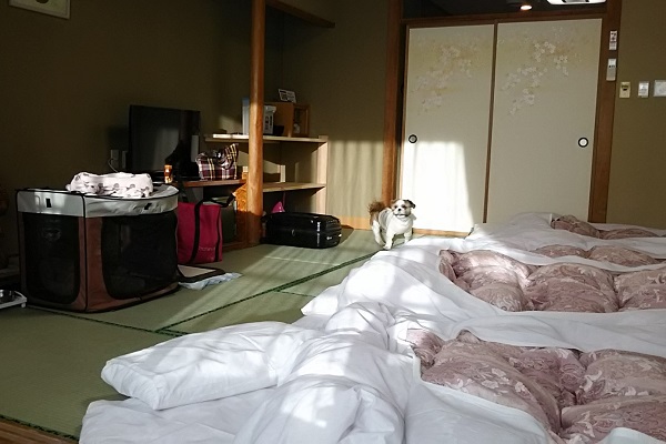 f:id:Reiherbahnhof:20180213223832j:plain