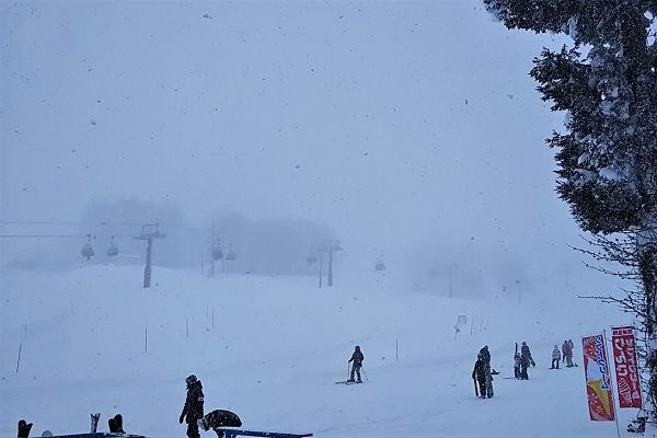 f:id:Reiherbahnhof:20190106100013j:plain