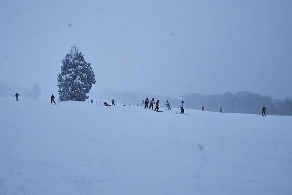 f:id:Reiherbahnhof:20190106102456j:plain