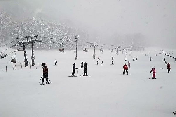 f:id:Reiherbahnhof:20190106103253j:plain