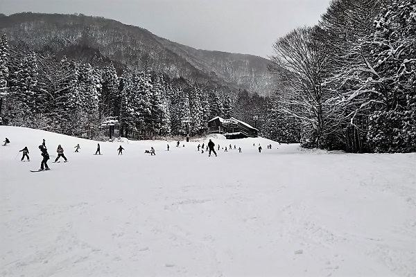 f:id:Reiherbahnhof:20190106103348j:plain