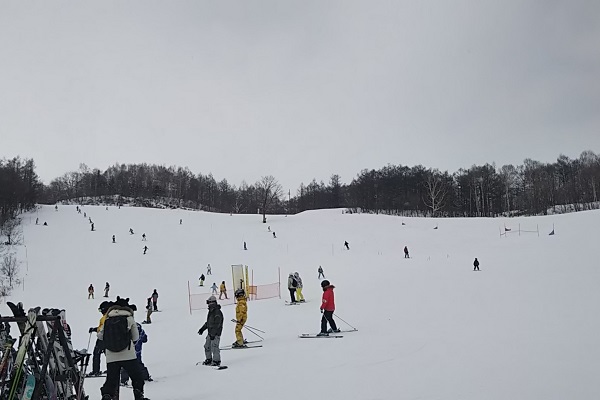 f:id:Reiherbahnhof:20190213233455j:plain f:id:Reiherbahnhof:20190213233455j:plain