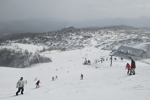 f:id:Reiherbahnhof:20190213233901j:plain f:id:Reiherbahnhof:20190213233901j:plain