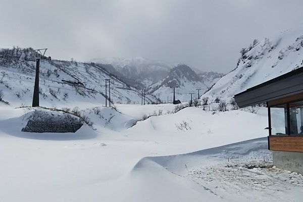 f:id:Reiherbahnhof:20190213234156j:plain f:id:Reiherbahnhof:20190213234156j:plain