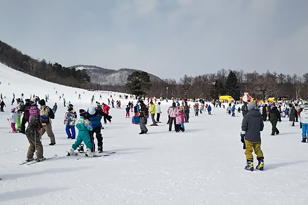 f:id:Reiherbahnhof:20190213234244j:plain f:id:Reiherbahnhof:20190213234244j:plain