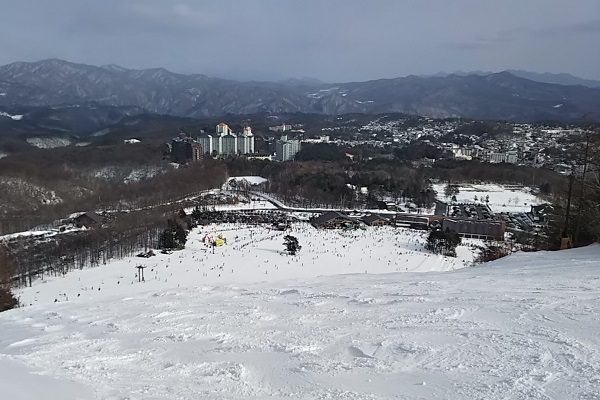 f:id:Reiherbahnhof:20190214003223j:plain f:id:Reiherbahnhof:20190214003223j:plain