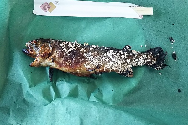 f:id:Reiherbahnhof:20191124170144j:plain f:id:Reiherbahnhof:20191124170144j:plain