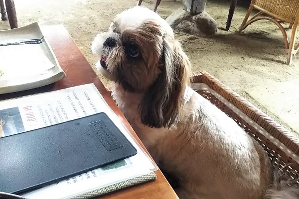 f:id:Reiherbahnhof:20200801144737j:plain